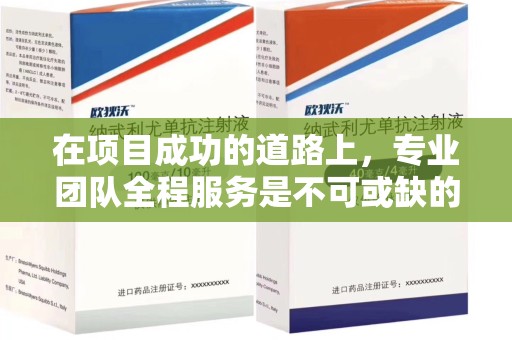 泰州在项目成功的道路上，专业团队全程服务是不可或缺的关键