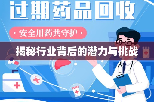 泰州揭秘行业背后的潜力与挑战
