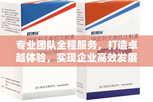 泰州专业团队全程服务，打造卓越体验，实现企业高效发展