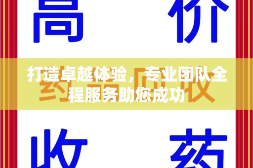 泰州打造卓越体验，专业团队全程服务助您成功