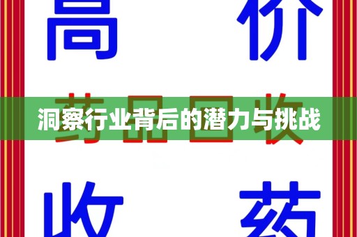 泰州洞察行业背后的潜力与挑战
