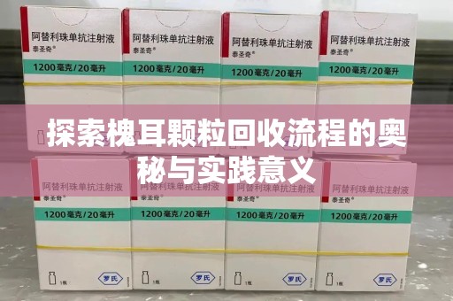 泰州探索槐耳颗粒回收流程的奥秘与实践意义